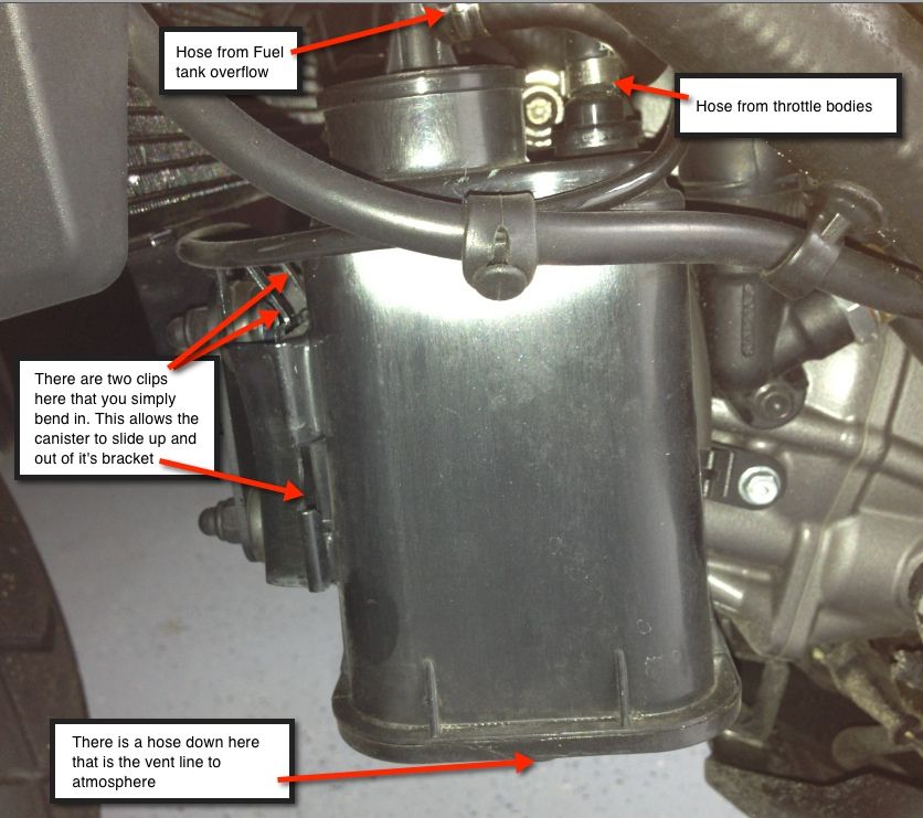 Canister Removal DIY Hypermotard Forum